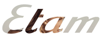Incorrect Logo Use
